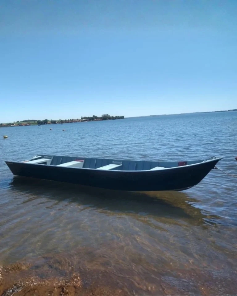 barcos-linha-galaxy-bico-fico 2 (1)
