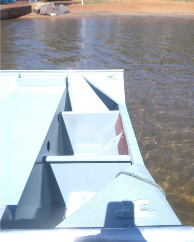 barcos-linha-galaxy-bico-fico 3 (1)